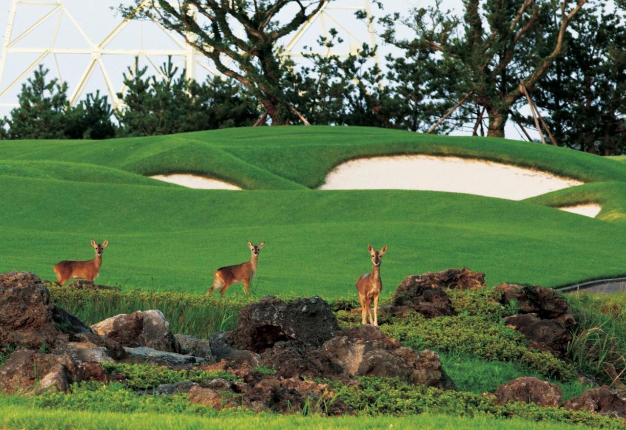Ardenhill Resort & Golf Czedżu Zewnętrze zdjęcie